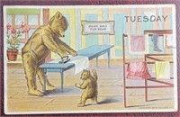 Antique 1907 Postmarked Bear Tuesday PPC Postcard