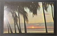 Vintage Hawaiian Sunset Real Picture Postcard RPPC