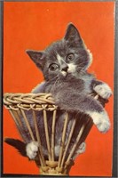 Vintage Kitten In A Basket Lithograph PPC