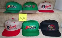 Lot of 6 Grizzly Int. Baseball Hats