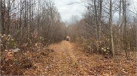 59.94 Wooded Acres w/ Stream & River Road