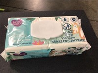 (3) Parents Choice Wipes (100ct)
