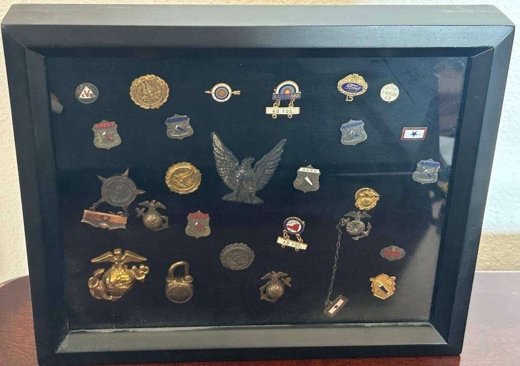 B - FRAMED COLLECTION OF MILITARY PINS (S29)
