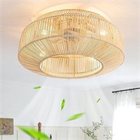 Zheshirui 20"  Caged Ceiling Fan With Lights
