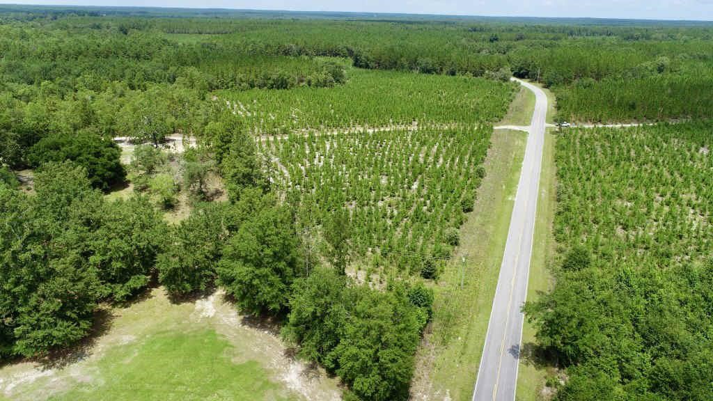 Wooded Land For Sale in Kershaw County, SC