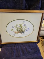 Birdfoot violet flowers framed picture