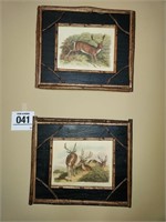 Deer pictures (2) 13" x 16"