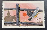 Vintage Kansas State Bird Postcard 1968