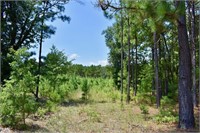 +/-25 Acres Wooded Land for Sale in Camden, SC