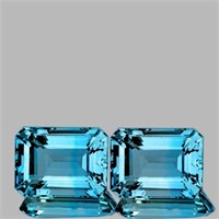 Natural Sky Blue Topaz Pair 42.91 Cts  {Flawless-V