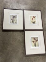3 Framed Flower Pictures