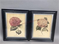 Framed IBFCO Artwork of Flowers