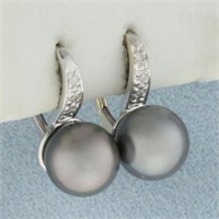 Tahitian Pearl and Diamond Earrings in 14k White G