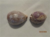 2 Carved Seashells Nassau Grouper