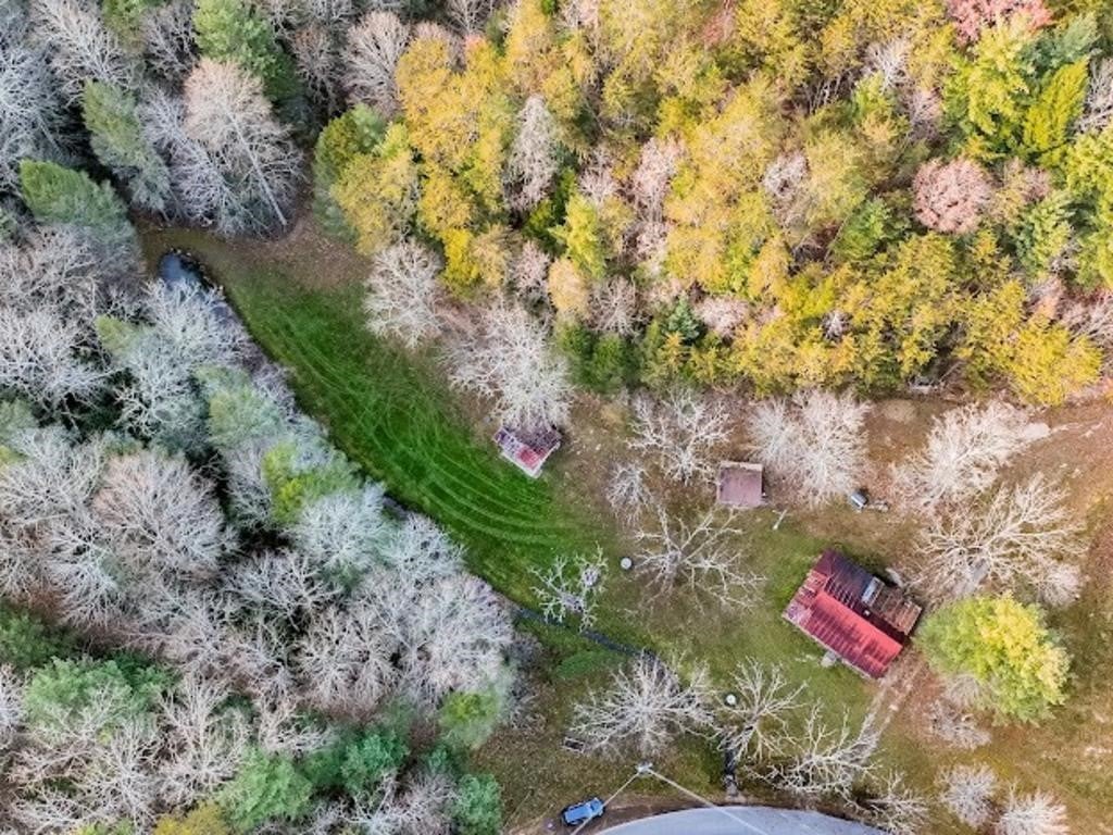 32 Acres Rafter Road with Primitive Cabin Tellico Plains,