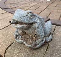 Fountain frog