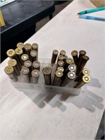 31 rounds of Assorted ammo