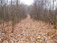 73 Acre & 2.33 Acre Wooded Parcels w/ Old Home