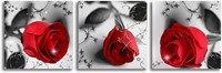 Red Rose Canvas Wall Art for Bedroom