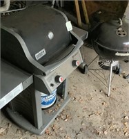 Gas Grill & Weber Grill