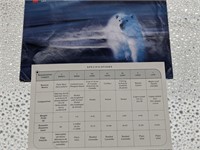 1999 Canadian Bear Uncirculated Proof Set