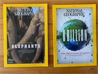National Geographic Magazines (D)