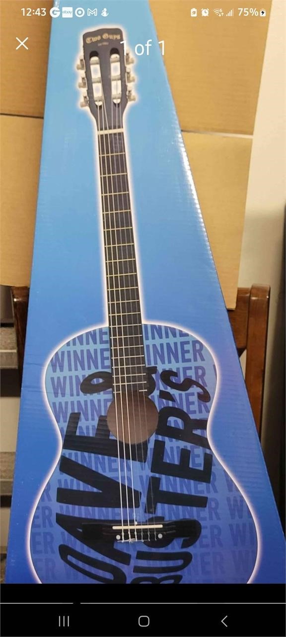 Dave and Busters Acoustic Guitar NEW