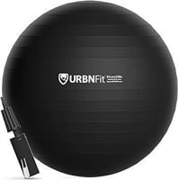 URBNFIT Exercise Ball - Yoga Ball 30 inch