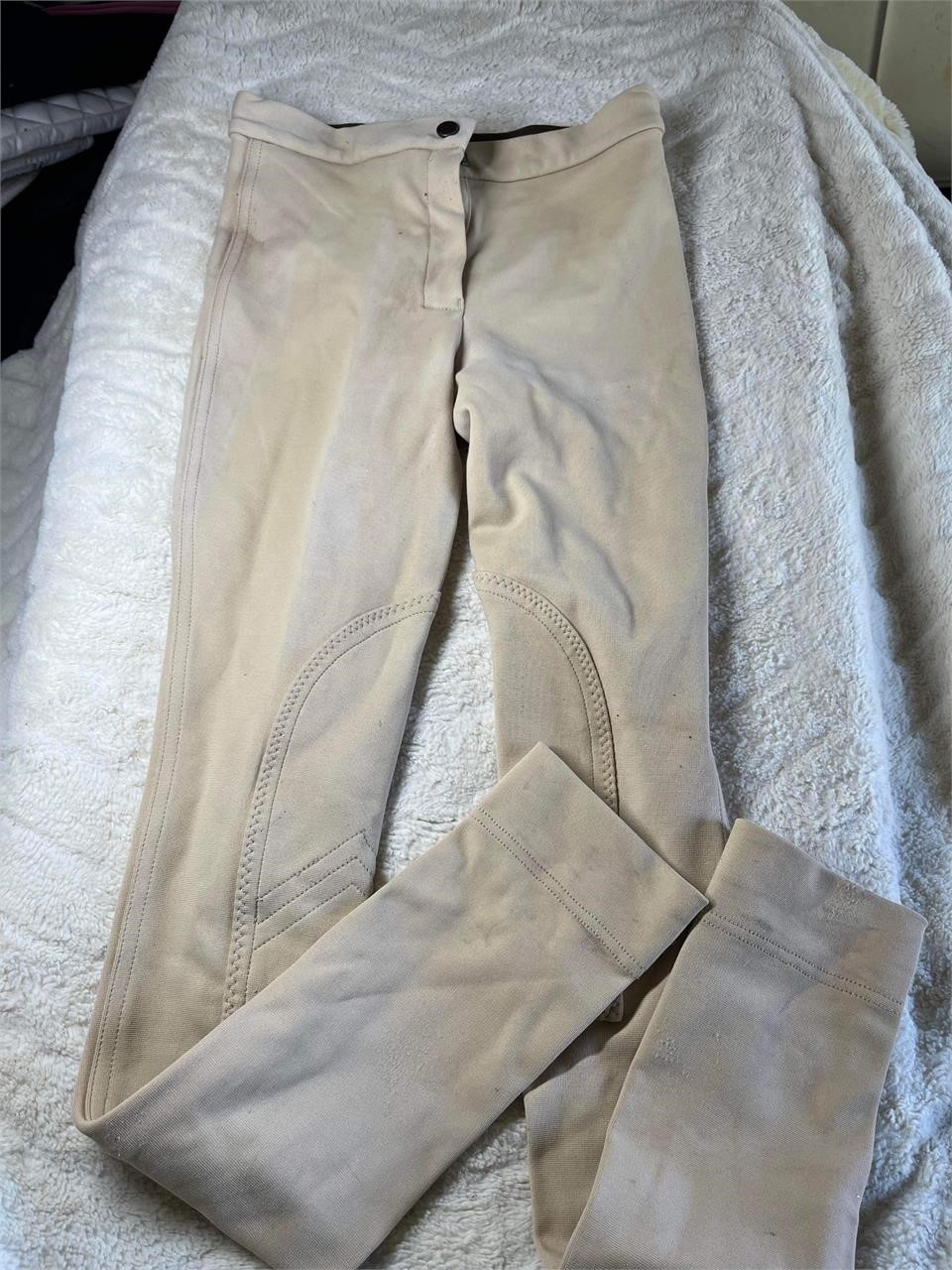 WINDSOR JODHPURS size 12