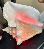 Queen Conch Shell with Light