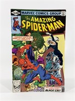 THE AMAZING SPIDERMAN COMIC BOOK NO. 204