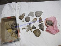 FOSSILS AND RELATED