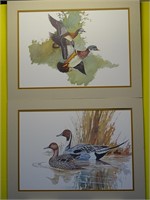 2 Solberg Pinton and Wood Duck Prints
