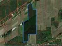 115 +/- Acres of Vacant Land