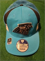 Carolina Panthers Hat