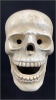 1971 Atlantic Mold Ceramic Skull by David