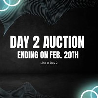 Day 2 Auction