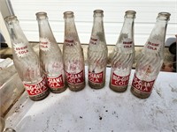 Big Giant Cola Soda bottle lot