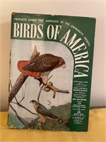 Birds of America Identification Book