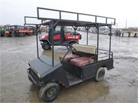 Taylor-Dunn Utility Cart