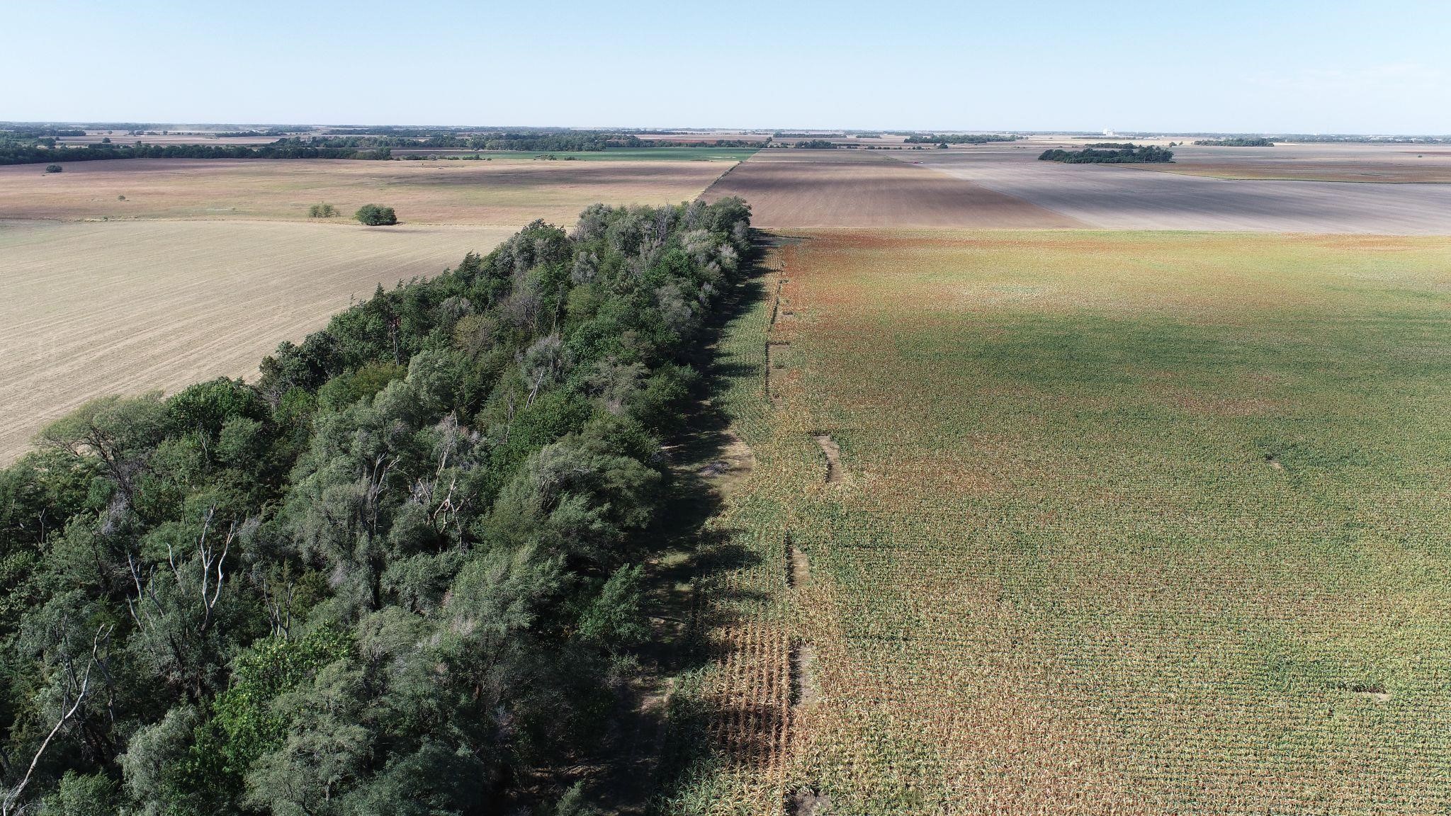 60+/- Ac Tillable/Hunting in Stafford County Ks