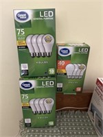 2 1/2 packs of LED lightbulbs
