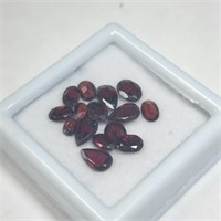 $200  Garnet(10ct)