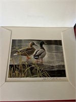 Signed 1985 Robert Bateman duck stamp print