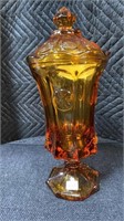 Amber coin dot compote 12”