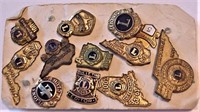 Lot of 11 Lion's Club Pins