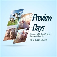 Preview Days