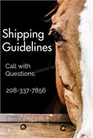 Shipping Guidelines