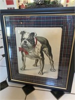 Framed print of bull dog