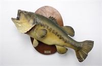 20+ Largemouth Bass Taxidermy Fish Mount